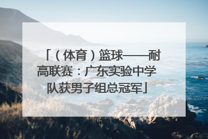（体育）篮球——耐高联赛：广东实验中学队获男子组总冠军