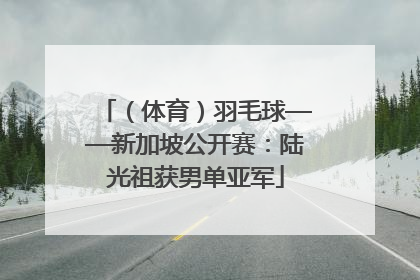 （体育）羽毛球——新加坡公开赛：陆光祖获男单亚军