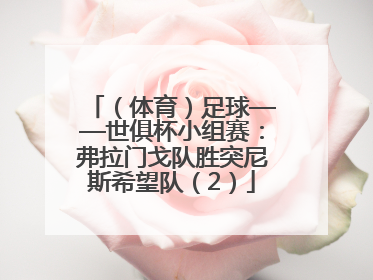 （体育）足球——世俱杯小组赛：弗拉门戈队胜突尼斯希望队（2）