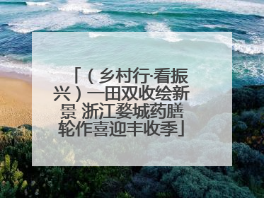 （乡村行·看振兴）一田双收绘新景 浙江婺城药膳轮作喜迎丰收季