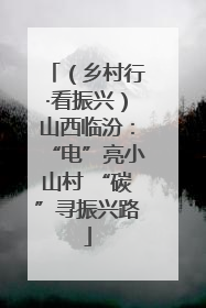 （乡村行·看振兴）山西临汾：“电”亮小山村 “碳”寻振兴路