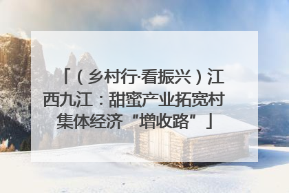 （乡村行·看振兴）江西九江：甜蜜产业拓宽村集体经济“增收路”
