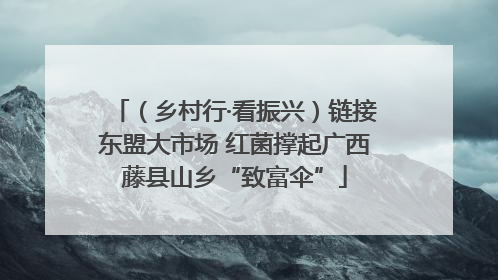 （乡村行·看振兴）链接东盟大市场 红菌撑起广西藤县山乡“致富伞”