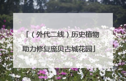 （外代二线）历史植物助力修复庞贝古城花园