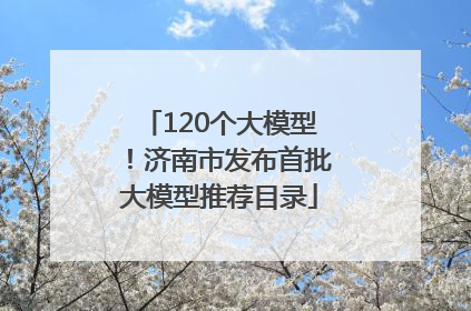 120个大模型！济南市发布首批大模型推荐目录