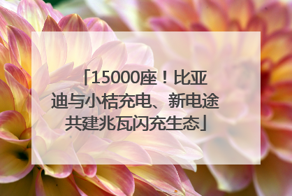 15000座！比亚迪与小桔充电、新电途共建兆瓦闪充生态