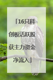 16只科创板活跃股获主力资金净流入