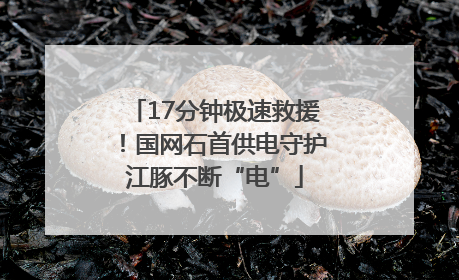 17分钟极速救援！国网石首供电守护江豚不断“电”