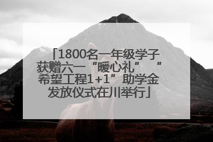 1800名一年级学子获赠六一“暖心礼” “希望工程1+1”助学金发放仪式在川举行