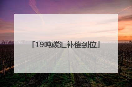19吨碳汇补偿到位