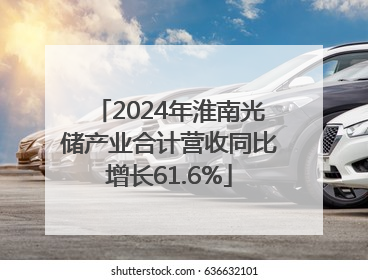 2024年淮南光储产业合计营收同比增长61.6%