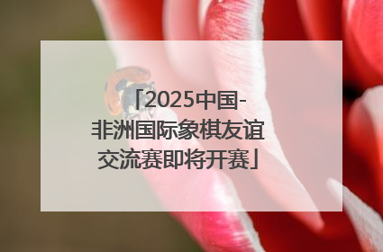 2025中国-非洲国际象棋友谊交流赛即将开赛