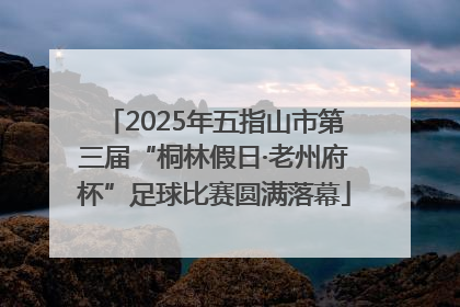 2025年五指山市第三届“桐林假日·老州府杯”足球比赛圆满落幕