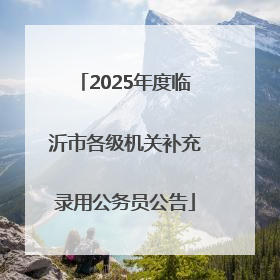 2025年度临沂市各级机关补充录用公务员公告