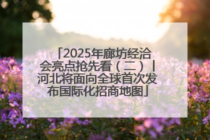 2025年廊坊经洽会亮点抢先看（二）丨河北将面向全球首次发布国际化招商地图