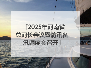 2025年河南省总河长会议暨防汛备汛调度会召开