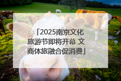 2025南京文化旅游节即将开幕 文商体旅融合促消费