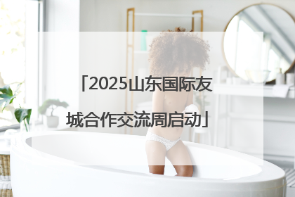 2025山东国际友城合作交流周启动