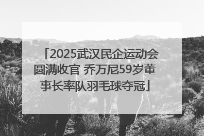 2025武汉民企运动会圆满收官 乔万尼59岁董事长率队羽毛球夺冠
