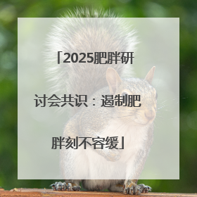 2025肥胖研讨会共识：遏制肥胖刻不容缓