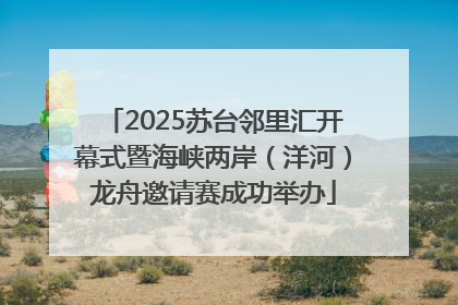 2025苏台邻里汇开幕式暨海峡两岸（洋河）龙舟邀请赛成功举办