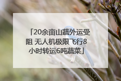 20余亩山蔬外运受阻 无人机极限飞行8小时转运6吨蔬菜
