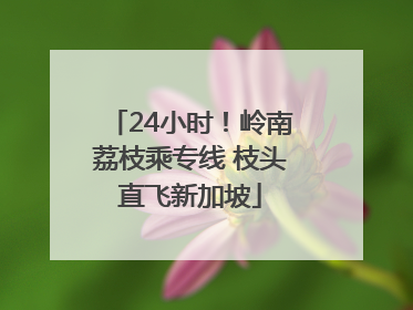24小时！岭南荔枝乘专线 枝头直飞新加坡