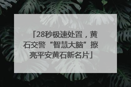 28秒极速处置，黄石交警“智慧大脑”擦亮平安黄石新名片