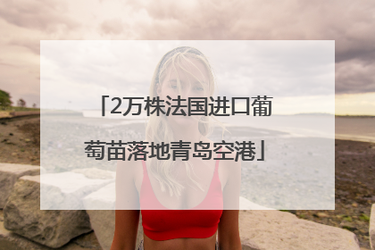 2万株法国进口葡萄苗落地青岛空港