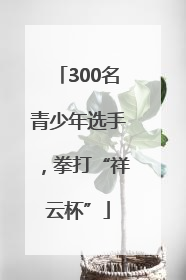 300名青少年选手，拳打“祥云杯”