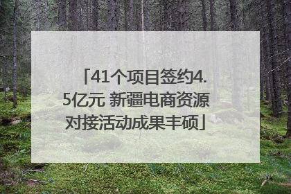 41个项目签约4.5亿元 新疆电商资源对接活动成果丰硕