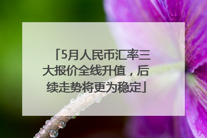 5月人民币汇率三大报价全线升值，后续走势将更为稳定
