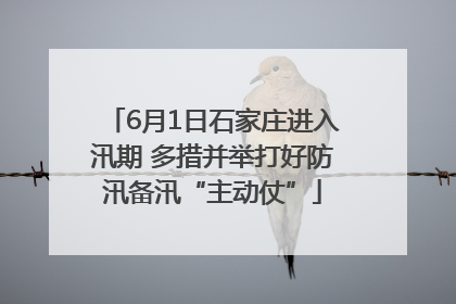 6月1日石家庄进入汛期 多措并举打好防汛备汛“主动仗”