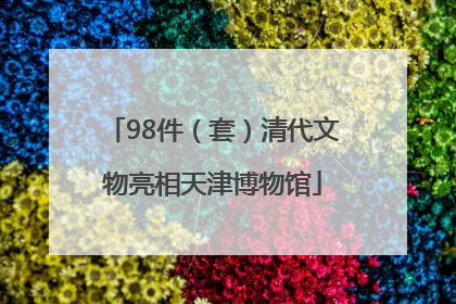 98件（套）清代文物亮相天津博物馆