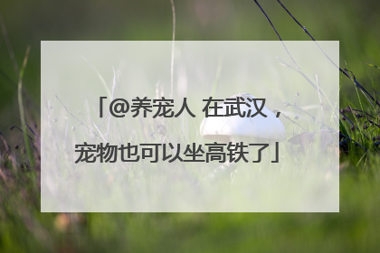 @养宠人 在武汉，宠物也可以坐高铁了