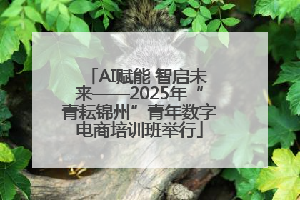AI赋能 智启未来——2025年“青耘锦州”青年数字电商培训班举行