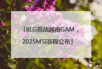 BLG首战越南GAM，2025MSI赛程公布