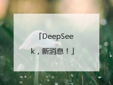 DeepSeek，新消息！