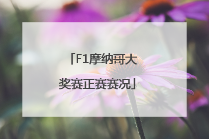F1摩纳哥大奖赛正赛赛况