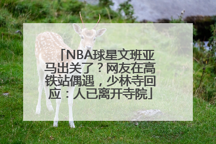NBA球星文班亚马出关了？网友在高铁站偶遇，少林寺回应：人已离开寺院